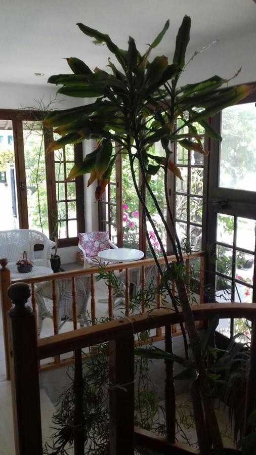 Villa Nena Χερσόνησος Εξωτερικό φωτογραφία